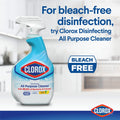 Clean-Up All Purpose Cleaner with Bleach, Spray Bottle, Original, 32 Ounces, Twin Pack