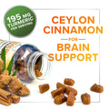 Turmeric Curcumin Gummies 95% Curcuminoids with Cinnamon, Ginger & Black Pepper Extract for Max Absorption Joint Support Supplement, Nature'S Herbal Turmeric Gummy Pills, Vegan Non-Gmo - 60 Gummies