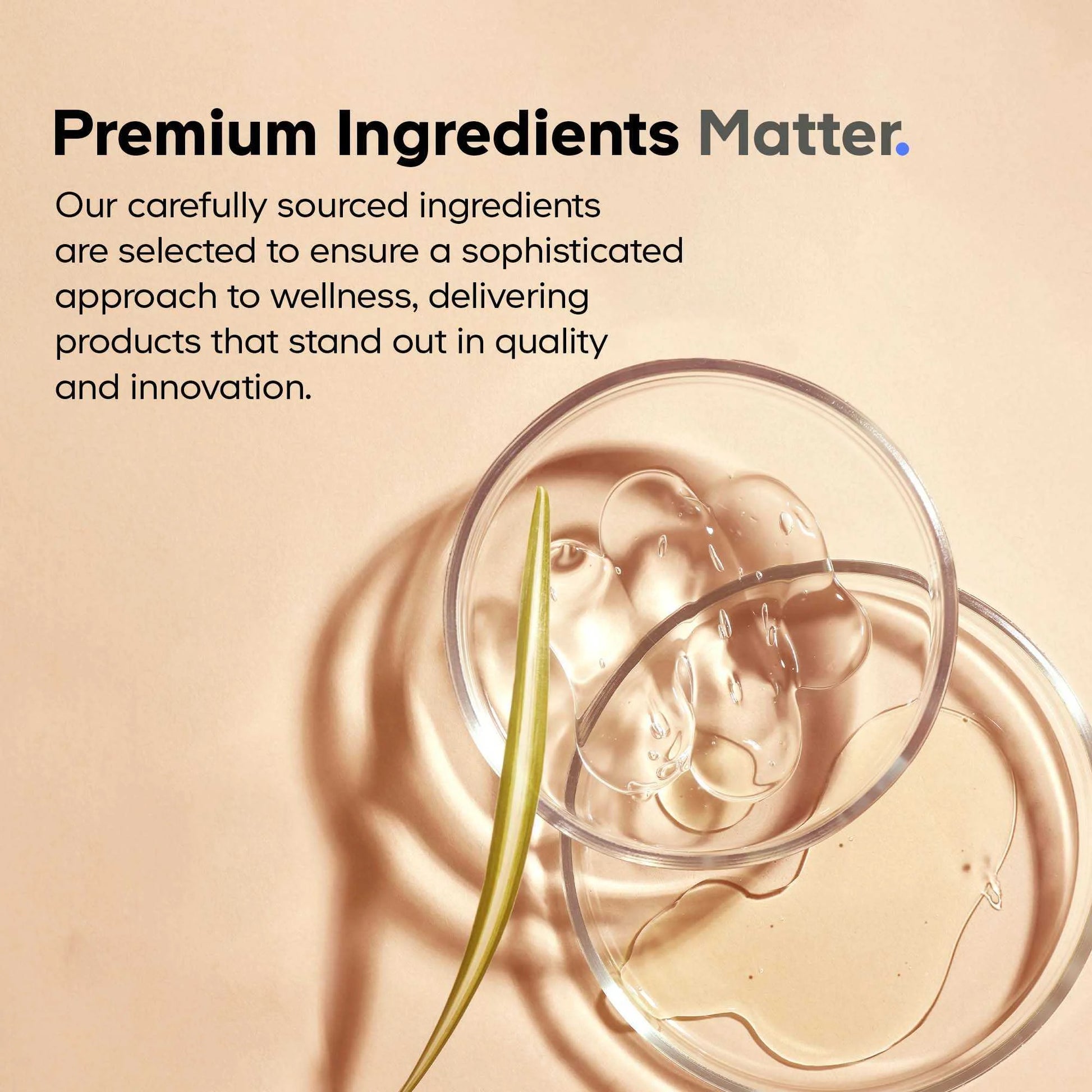 Fermented Turmeric, Organic Turmeric 95% Curcuminoids, Fermented Botanicals Digestive Bitters, 90 Ct