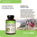 [1] Garcinia Cambogia - 60% HCA - Vegan, Non-Gmo - 90 Capsules[1-3 Month Supply] + (Pack of 3) Green Tea Extract 1000 Mg - Vegan, Non-Gmo - 60 Capsules[30-Day Supply]