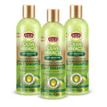 Olive Miracle Shampoo & Conditioner 2 In1 Formula (3 Pack) Enriched with Tea Tree and Olive Oil to Moisturize and Protect Hair and Scalp, 12Oz.