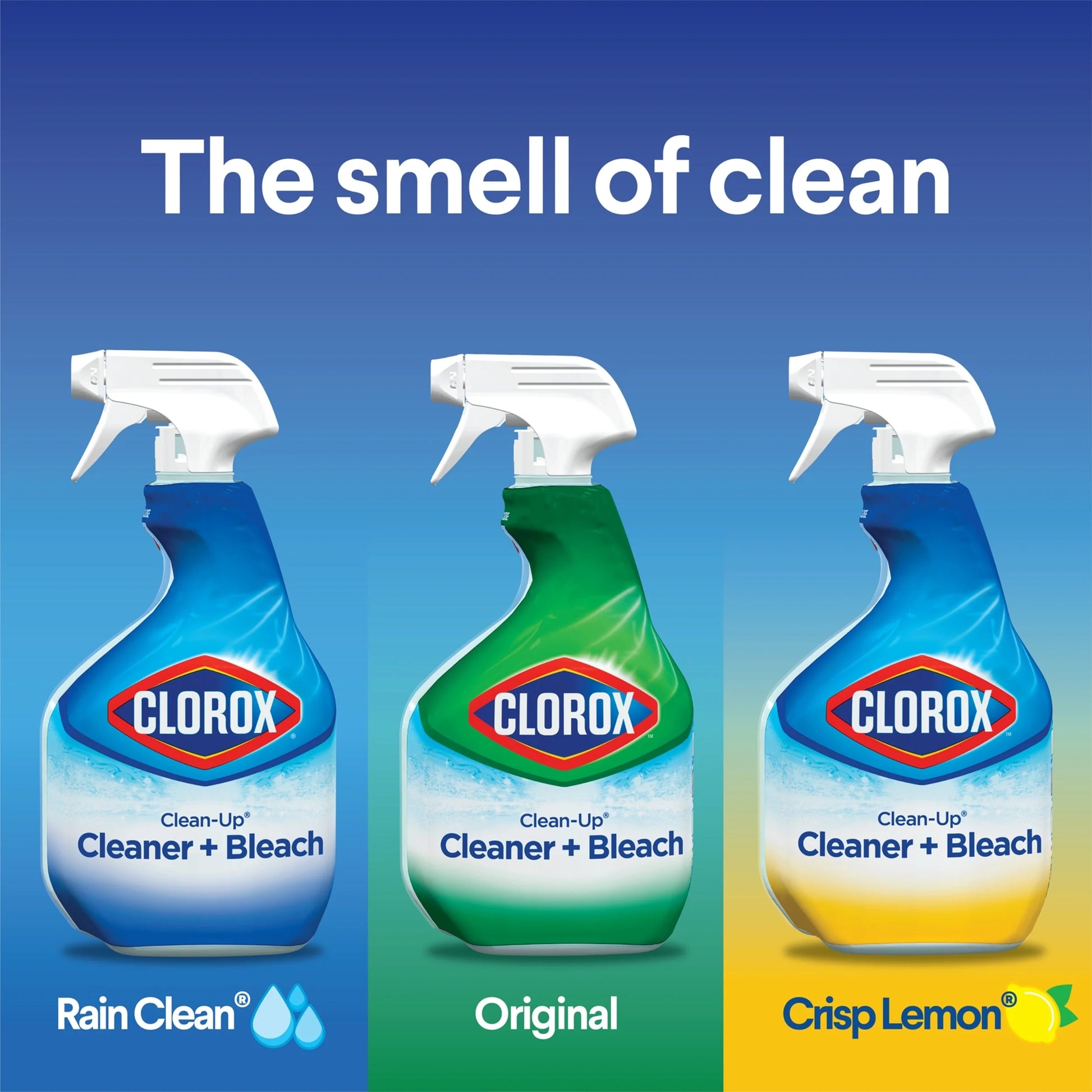 Clean-Up All Purpose Cleaner with Bleach, Spray Bottle, Original, 32 Ounces, Twin Pack