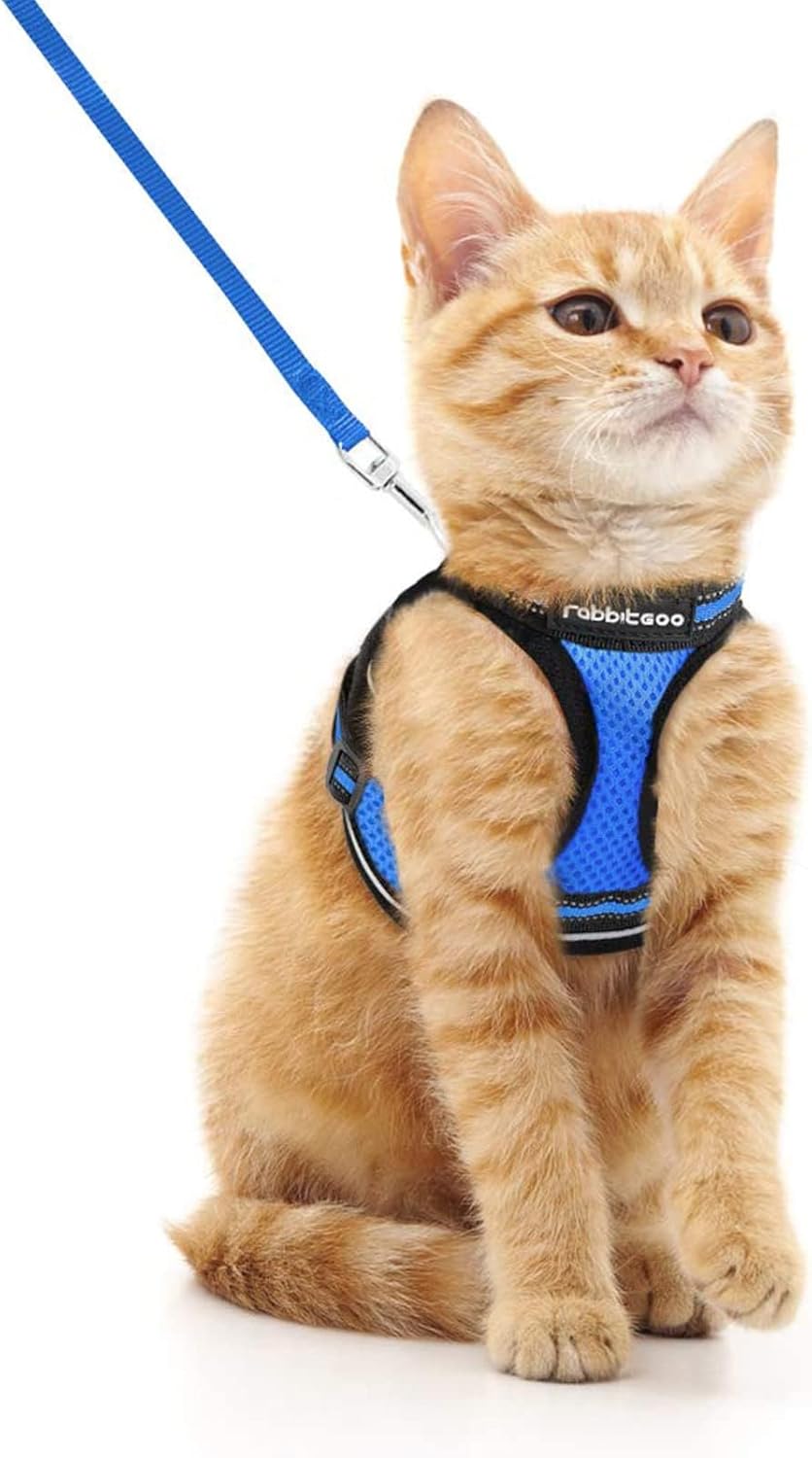 Cat Harness and Leash Set for Walking Escape Proof, Adjustable Soft Kittens Vest with Reflective Strip for Cats, Comfortable Outdoor Vest, Blue, S