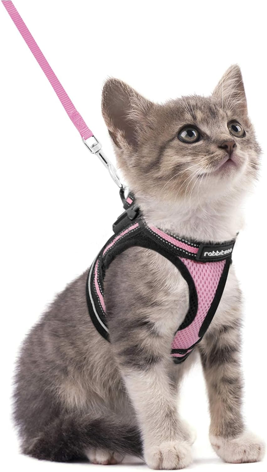Cat Harness and Leash Set for Walking Escape Proof, Adjustable Soft Kittens Vest with Reflective Strip for Cats, Comfortable Outdoor Vest, Blue, S
