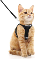 Cat Harness and Leash Set for Walking Escape Proof, Adjustable Soft Kittens Vest with Reflective Strip for Cats, Comfortable Outdoor Vest, Blue, S