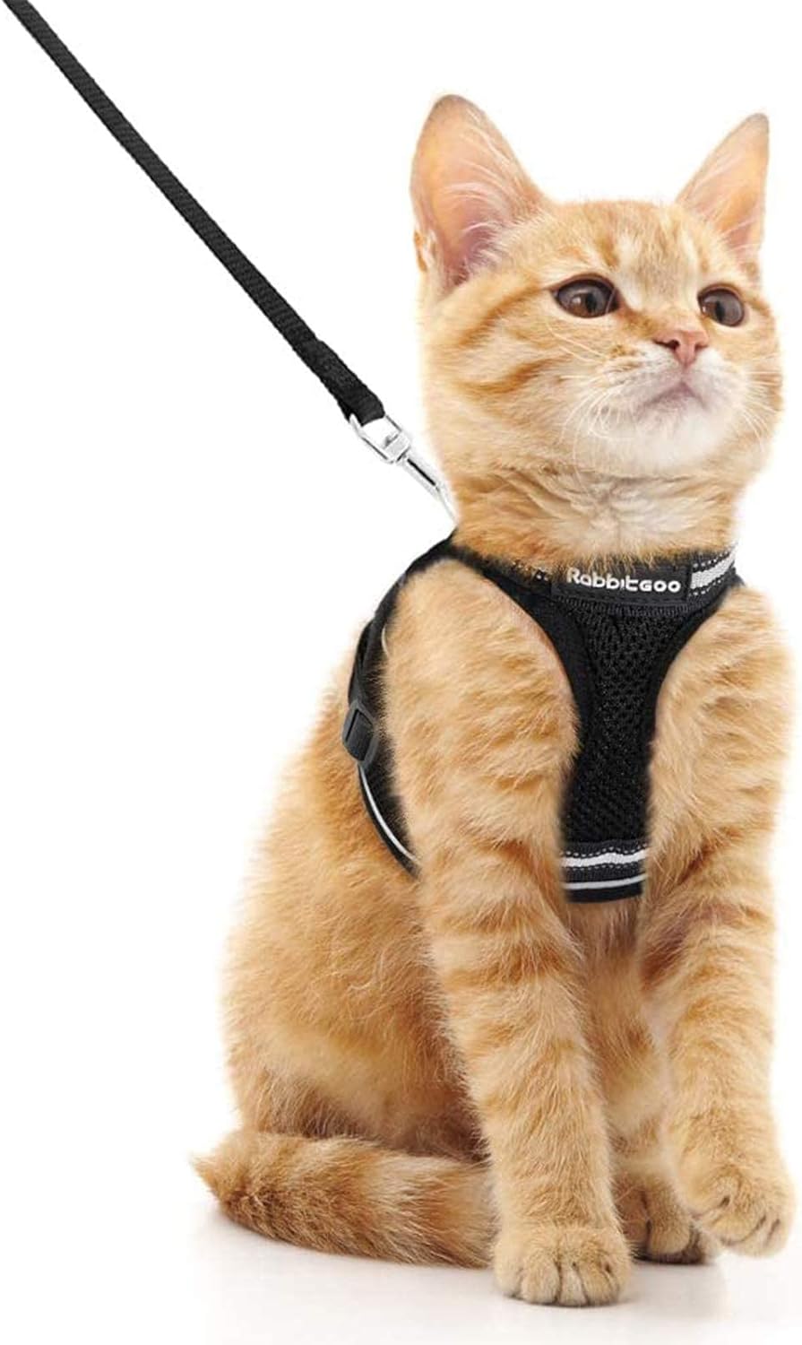 Cat Harness and Leash Set for Walking Escape Proof, Adjustable Soft Kittens Vest with Reflective Strip for Cats, Comfortable Outdoor Vest, Blue, S
