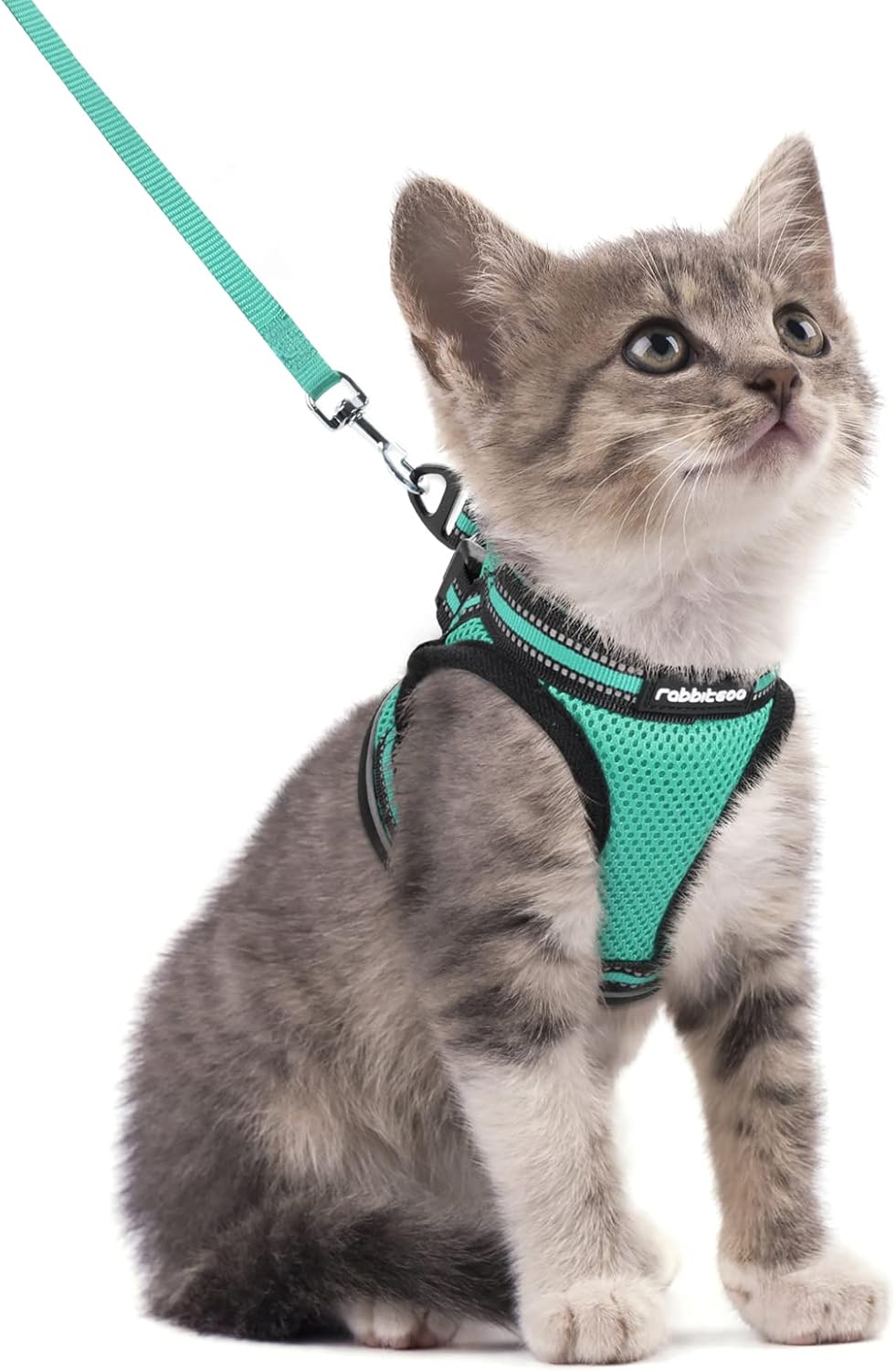 Cat Harness and Leash Set for Walking Escape Proof, Adjustable Soft Kittens Vest with Reflective Strip for Cats, Comfortable Outdoor Vest, Blue, S