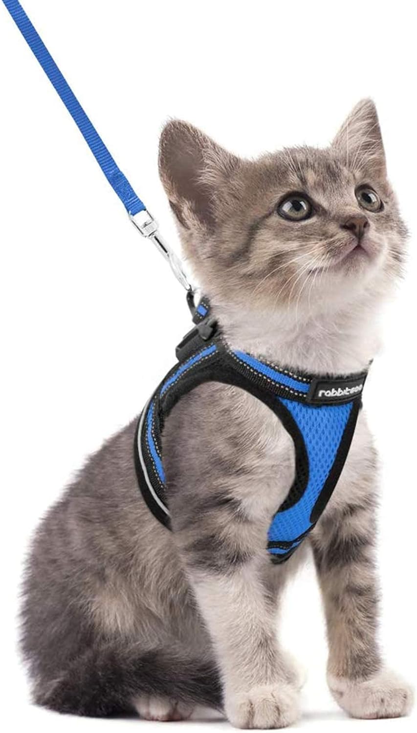 Cat Harness and Leash Set for Walking Escape Proof, Adjustable Soft Kittens Vest with Reflective Strip for Cats, Comfortable Outdoor Vest, Blue, S