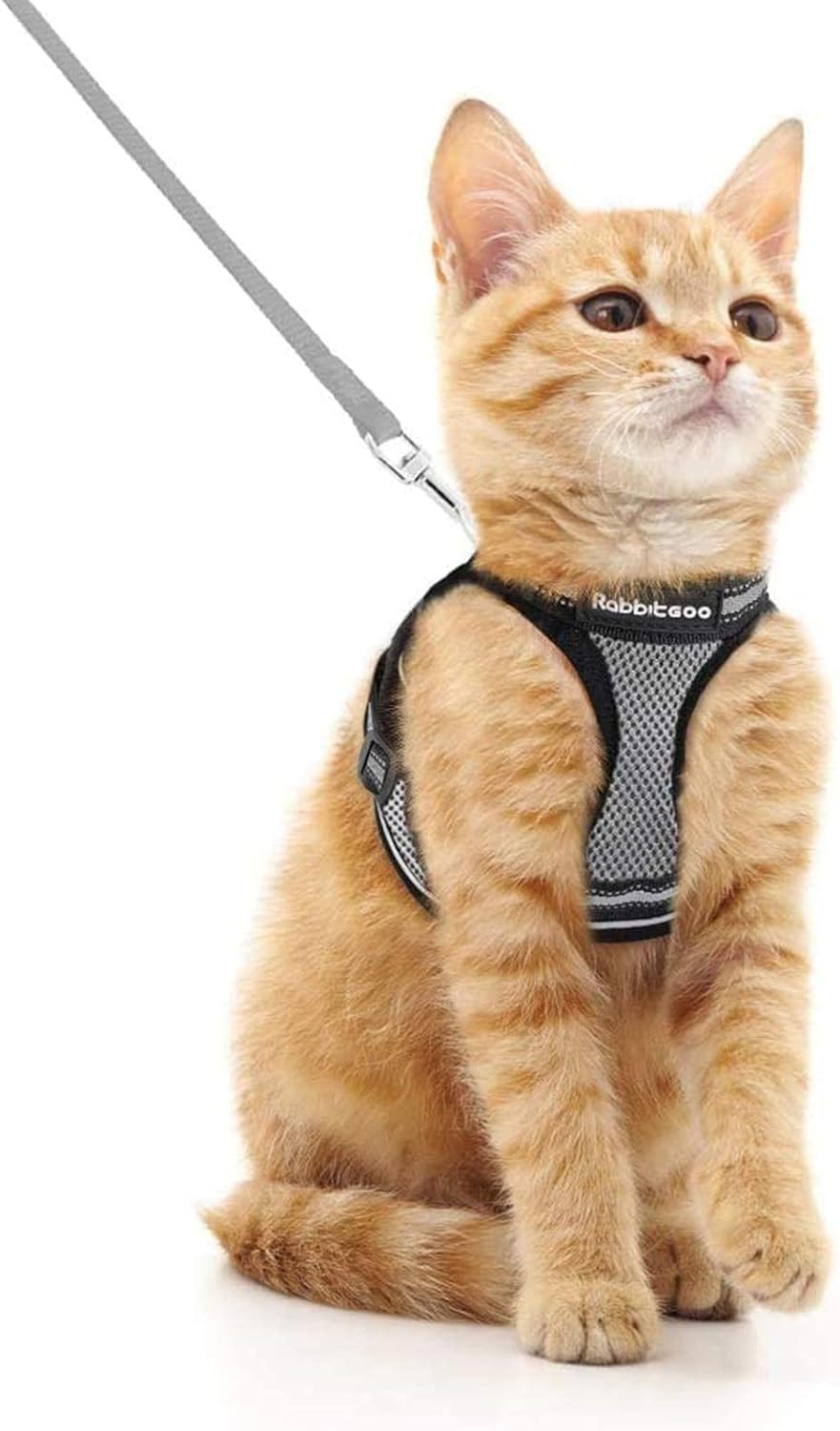 Cat Harness and Leash Set for Walking Escape Proof, Adjustable Soft Kittens Vest with Reflective Strip for Cats, Comfortable Outdoor Vest, Blue, S
