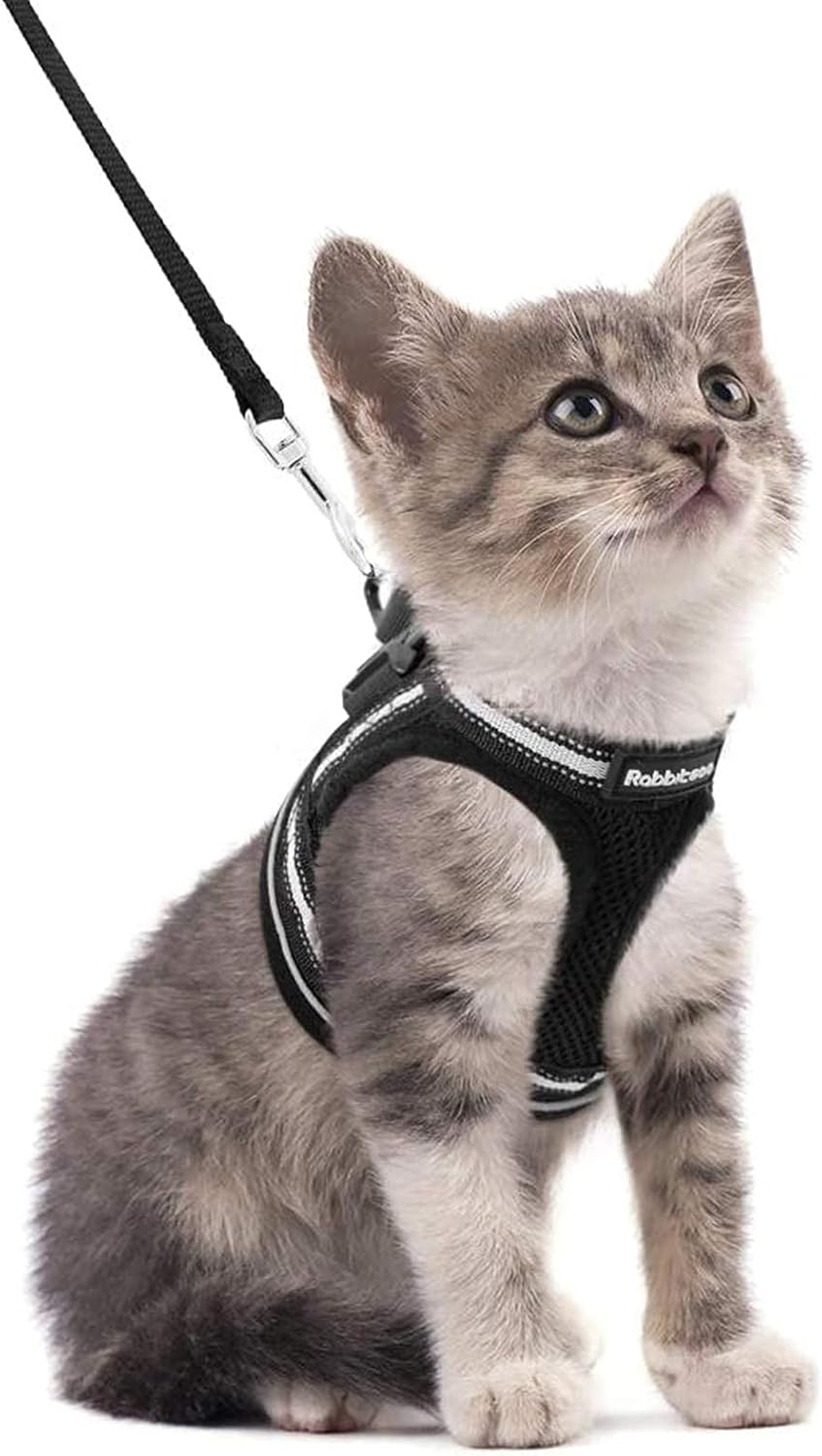 Cat Harness and Leash Set for Walking Escape Proof, Adjustable Soft Kittens Vest with Reflective Strip for Cats, Comfortable Outdoor Vest, Blue, S
