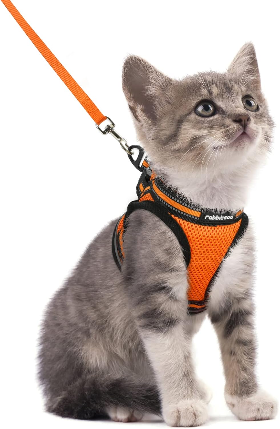 Cat Harness and Leash Set for Walking Escape Proof, Adjustable Soft Kittens Vest with Reflective Strip for Cats, Comfortable Outdoor Vest, Blue, S