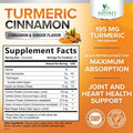 Turmeric Curcumin Gummies 95% Curcuminoids with Cinnamon, Ginger & Black Pepper Extract for Max Absorption Joint Support Supplement, Nature'S Herbal Turmeric Gummy Pills, Vegan Non-Gmo - 60 Gummies