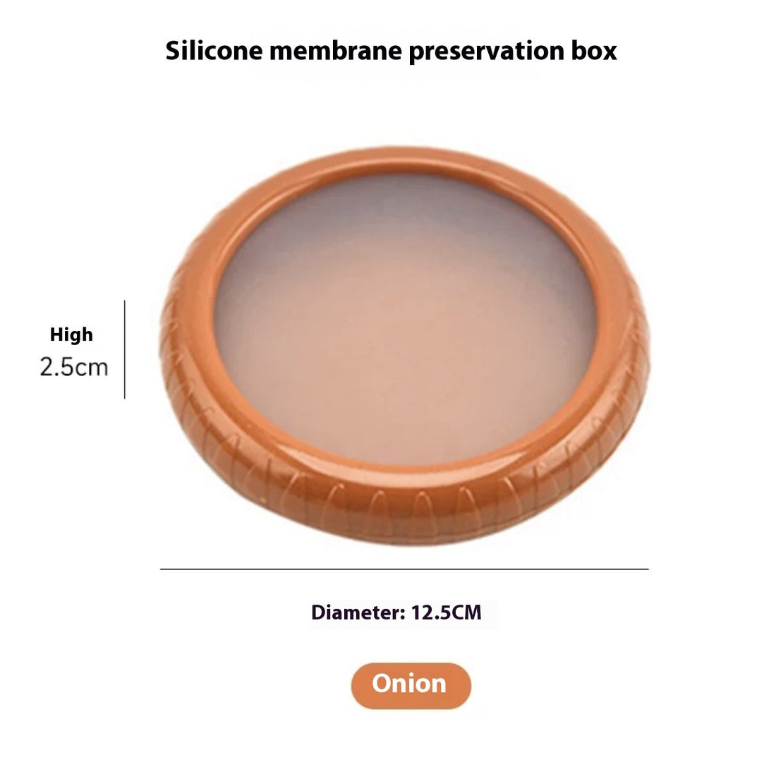 Plastic Fruit & Vegetable Storage Box – Airtight Crisper Container for Freshness Preservation