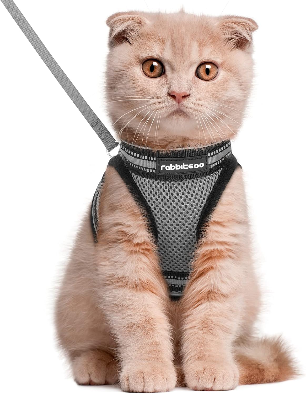 Cat Harness and Leash Set for Walking Escape Proof, Adjustable Soft Kittens Vest with Reflective Strip for Cats, Comfortable Outdoor Vest, Blue, S