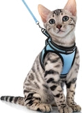 Cat Harness and Leash Set for Walking Escape Proof, Adjustable Soft Kittens Vest with Reflective Strip for Cats, Comfortable Outdoor Vest, Blue, S