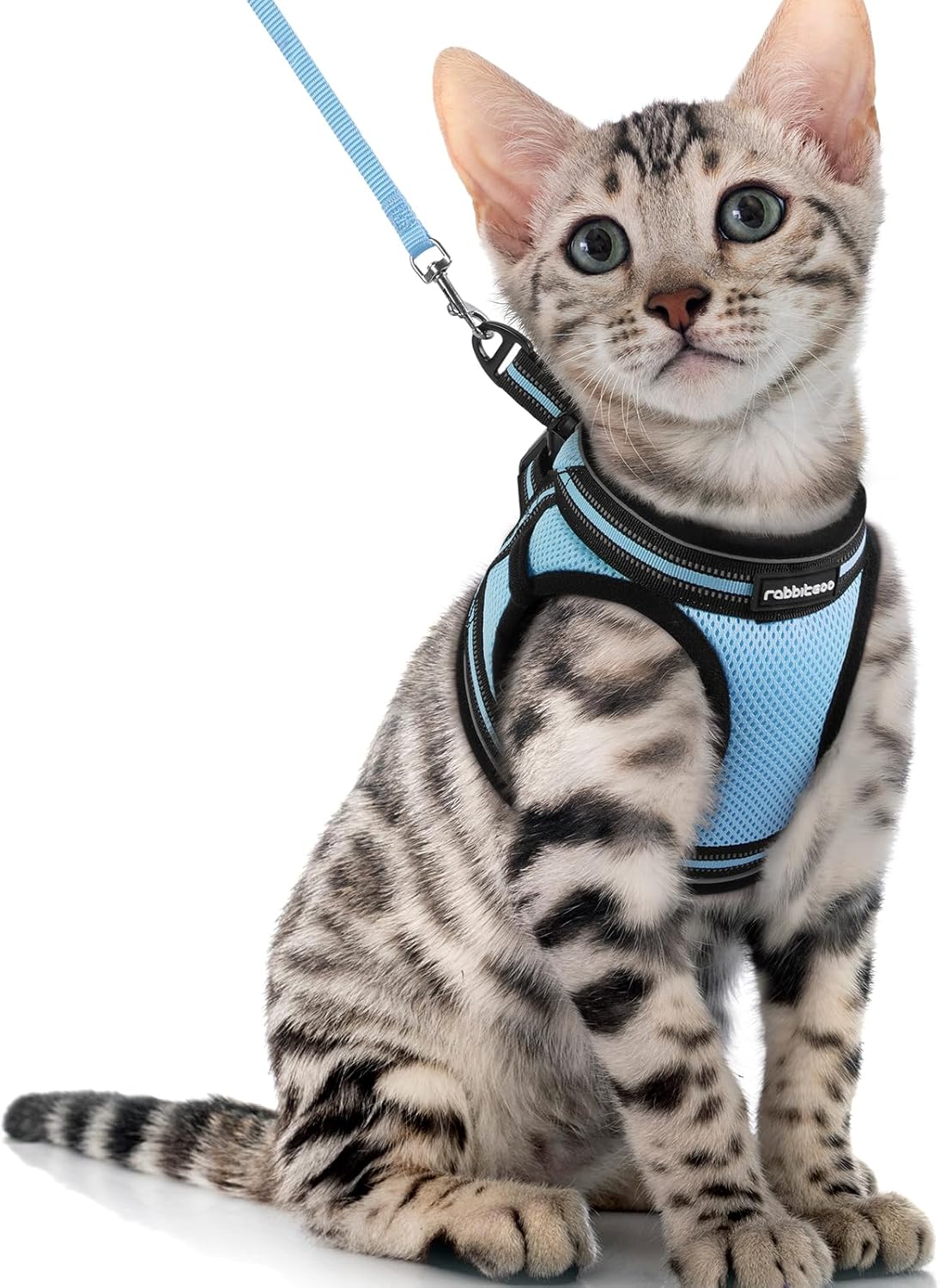 Cat Harness and Leash Set for Walking Escape Proof, Adjustable Soft Kittens Vest with Reflective Strip for Cats, Comfortable Outdoor Vest, Blue, S