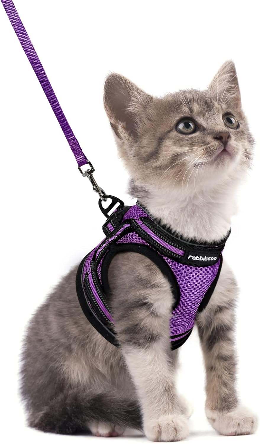 Cat Harness and Leash Set for Walking Escape Proof, Adjustable Soft Kittens Vest with Reflective Strip for Cats, Comfortable Outdoor Vest, Blue, S