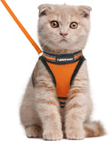 Cat Harness and Leash Set for Walking Escape Proof, Adjustable Soft Kittens Vest with Reflective Strip for Cats, Comfortable Outdoor Vest, Blue, S