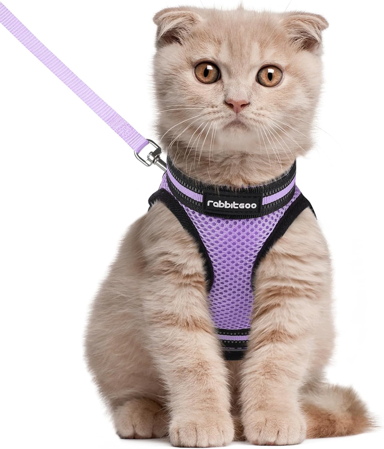 Cat Harness and Leash Set for Walking Escape Proof, Adjustable Soft Kittens Vest with Reflective Strip for Cats, Comfortable Outdoor Vest, Blue, S
