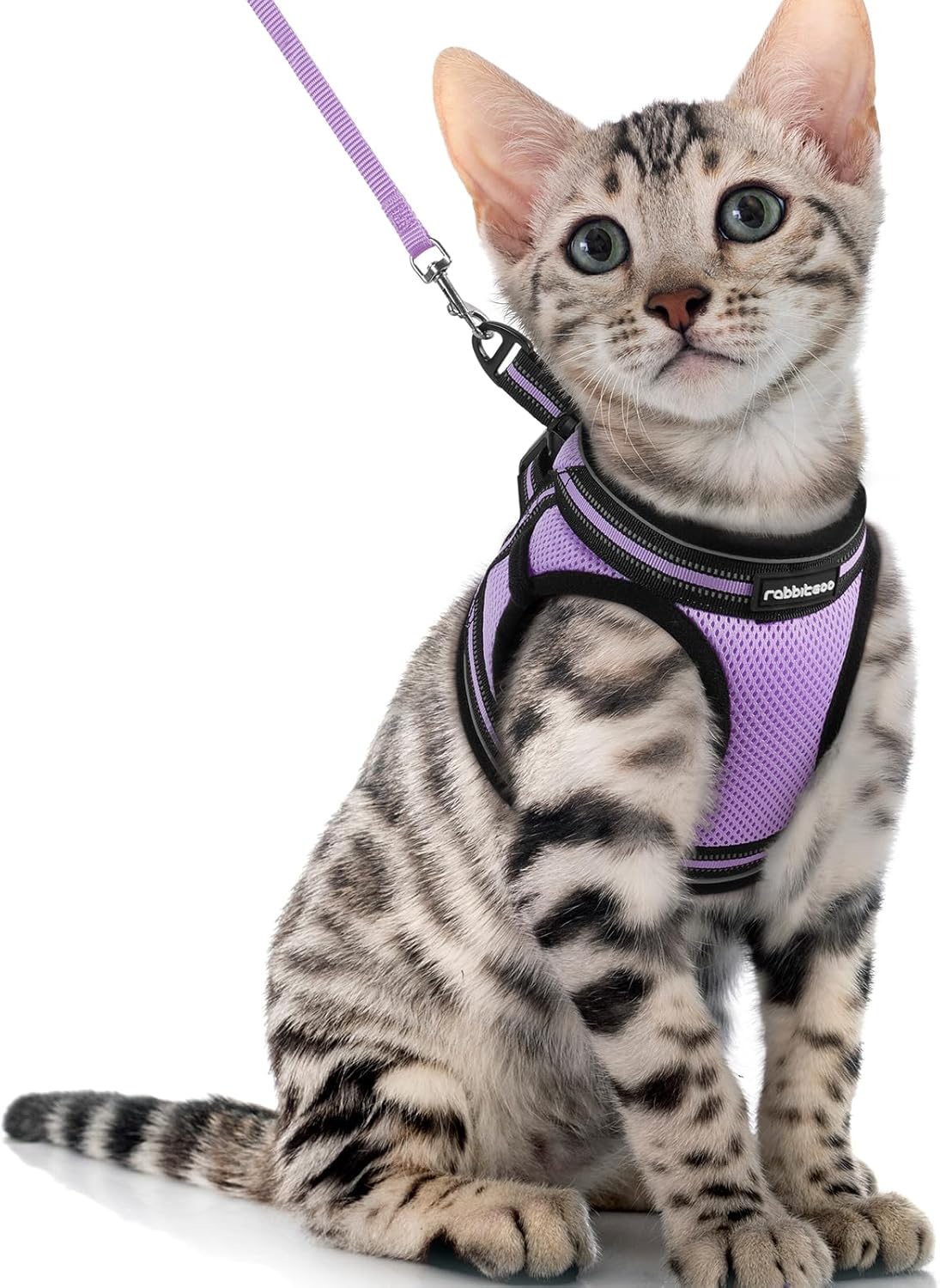 Cat Harness and Leash Set for Walking Escape Proof, Adjustable Soft Kittens Vest with Reflective Strip for Cats, Comfortable Outdoor Vest, Blue, S