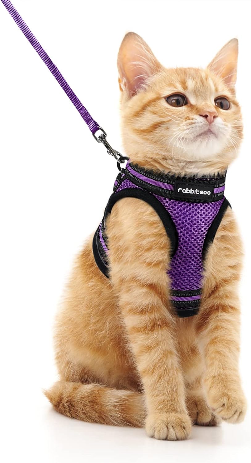Cat Harness and Leash Set for Walking Escape Proof, Adjustable Soft Kittens Vest with Reflective Strip for Cats, Comfortable Outdoor Vest, Blue, S