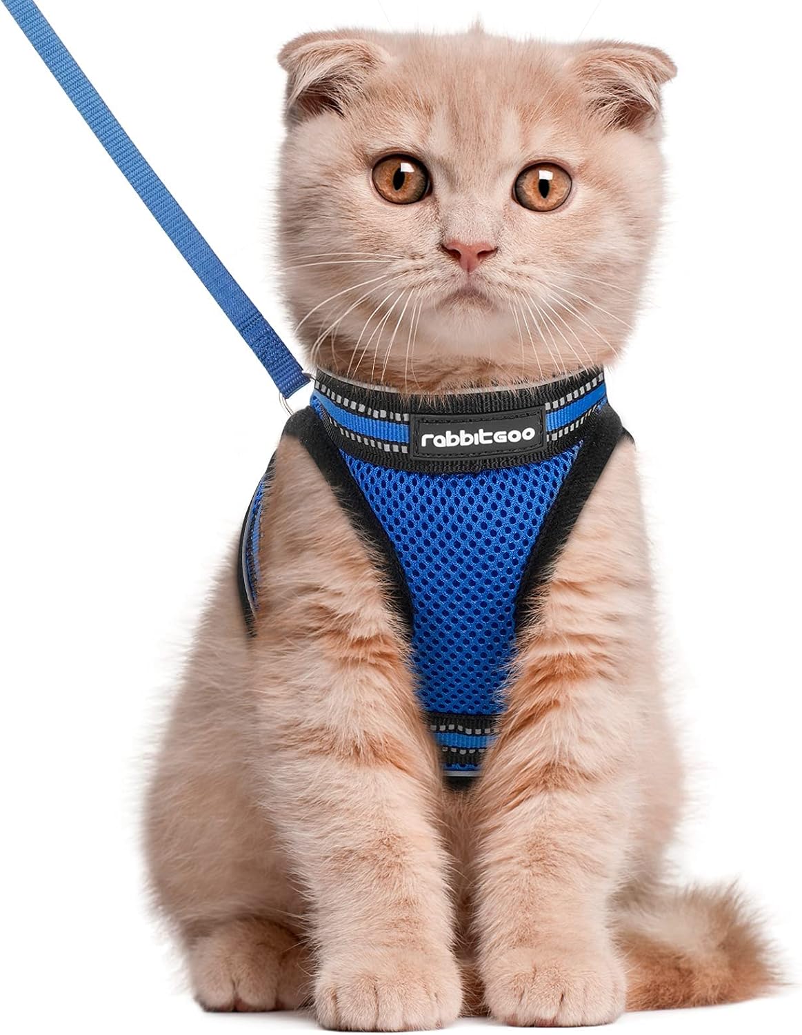 Cat Harness and Leash Set for Walking Escape Proof, Adjustable Soft Kittens Vest with Reflective Strip for Cats, Comfortable Outdoor Vest, Blue, S