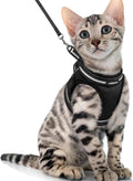 Cat Harness and Leash Set for Walking Escape Proof, Adjustable Soft Kittens Vest with Reflective Strip for Cats, Comfortable Outdoor Vest, Blue, S