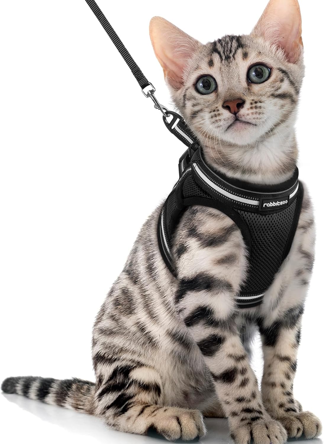 Cat Harness and Leash Set for Walking Escape Proof, Adjustable Soft Kittens Vest with Reflective Strip for Cats, Comfortable Outdoor Vest, Blue, S