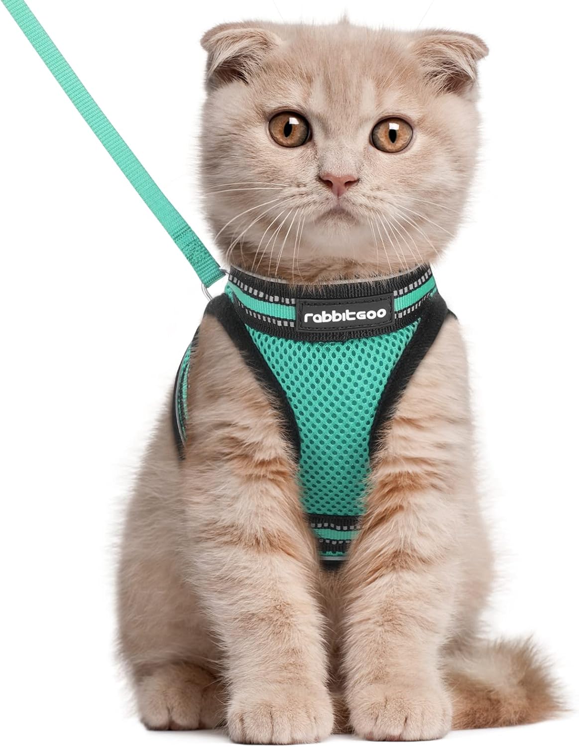 Cat Harness and Leash Set for Walking Escape Proof, Adjustable Soft Kittens Vest with Reflective Strip for Cats, Comfortable Outdoor Vest, Blue, S