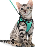 Cat Harness and Leash Set for Walking Escape Proof, Adjustable Soft Kittens Vest with Reflective Strip for Cats, Comfortable Outdoor Vest, Blue, S