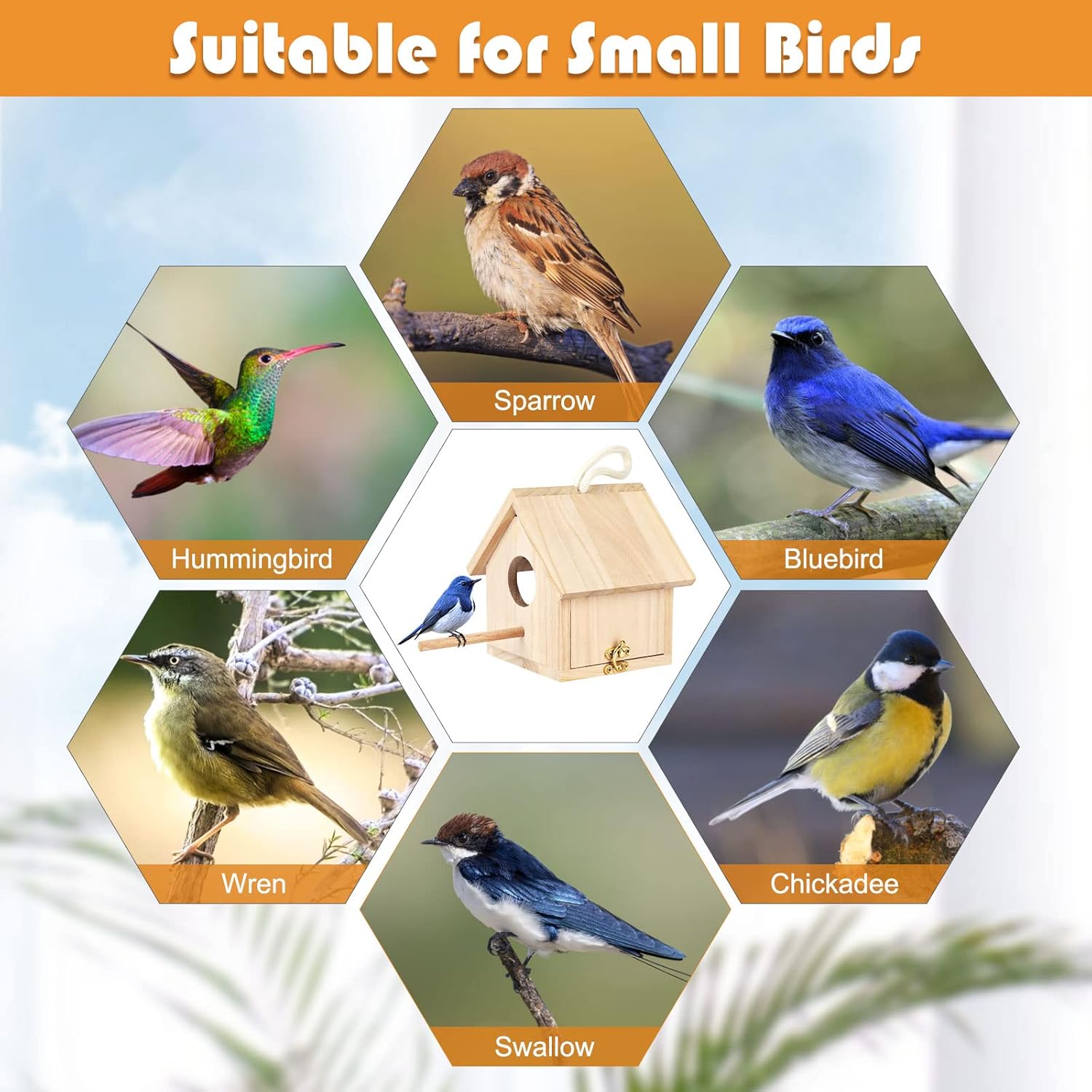 Outdoor Bird Houses Transparent Wooden Bird House for outside with Lanyard and Screws,Hanging Birdhouse Clearance for Finch Bluebird Cardinals Hummingbird