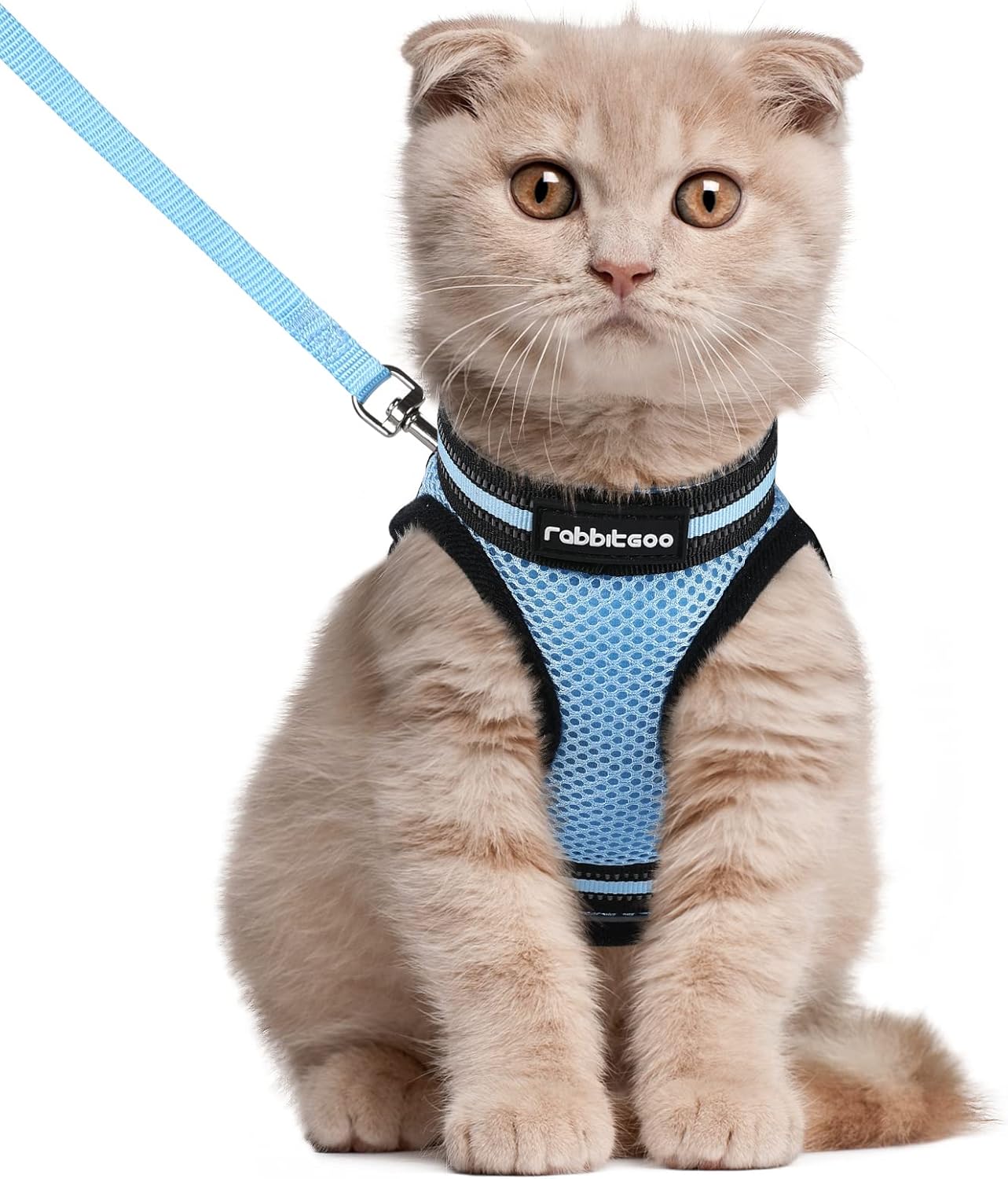 Cat Harness and Leash Set for Walking Escape Proof, Adjustable Soft Kittens Vest with Reflective Strip for Cats, Comfortable Outdoor Vest, Blue, S