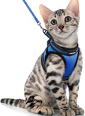 Cat Harness and Leash Set for Walking Escape Proof, Adjustable Soft Kittens Vest with Reflective Strip for Cats, Comfortable Outdoor Vest, Blue, S