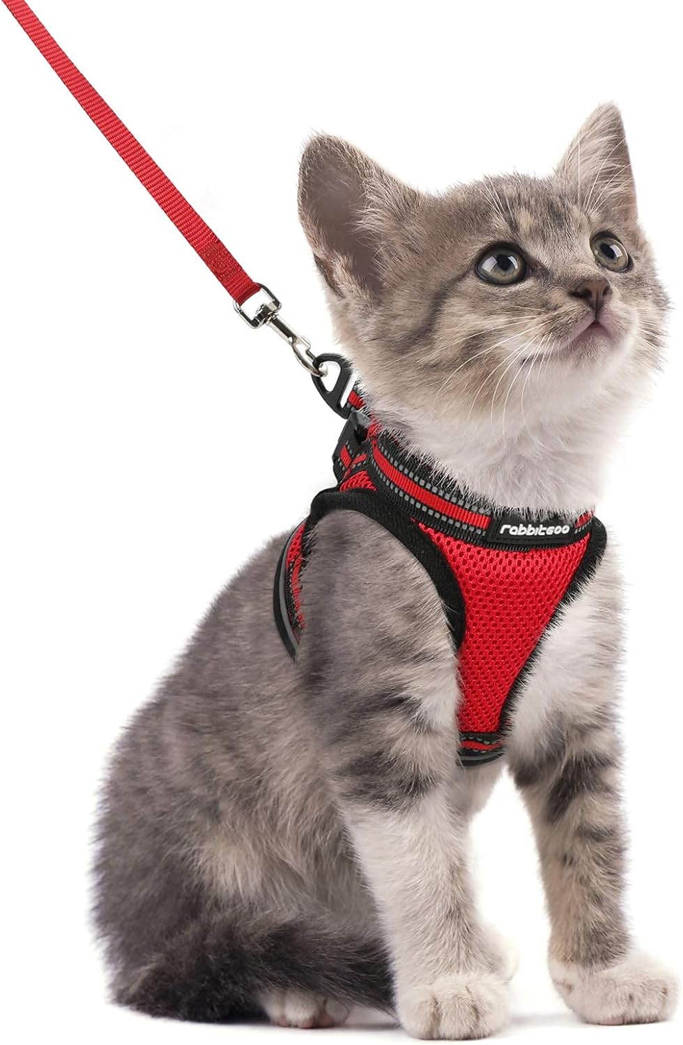 Cat Harness and Leash Set for Walking Escape Proof, Adjustable Soft Kittens Vest with Reflective Strip for Cats, Comfortable Outdoor Vest, Blue, S