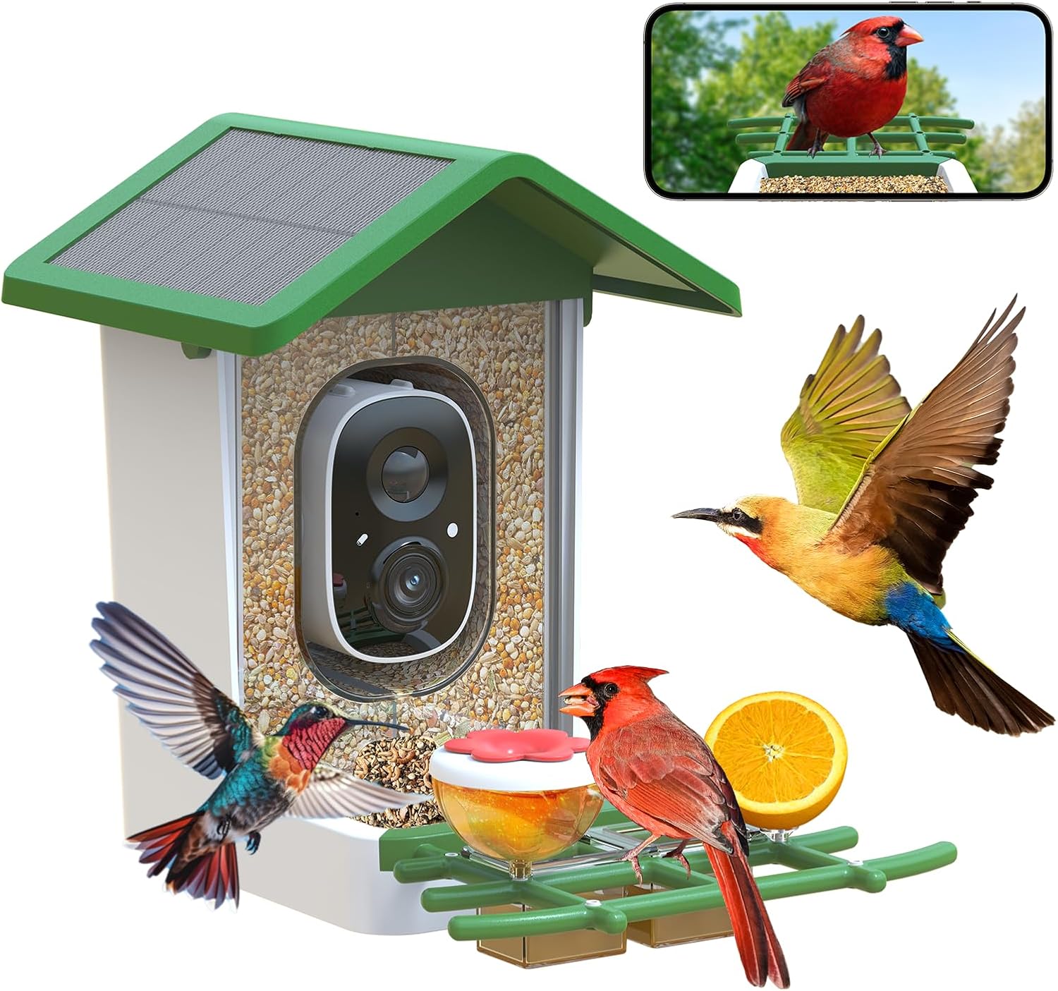 Smart Bird Feeder with Camera: Solar Powered Birdhouse with AI Recognition, Wireless Bird House with Camera for Outdoor, Unique Birthday Gifts for Mom Dad - Blue