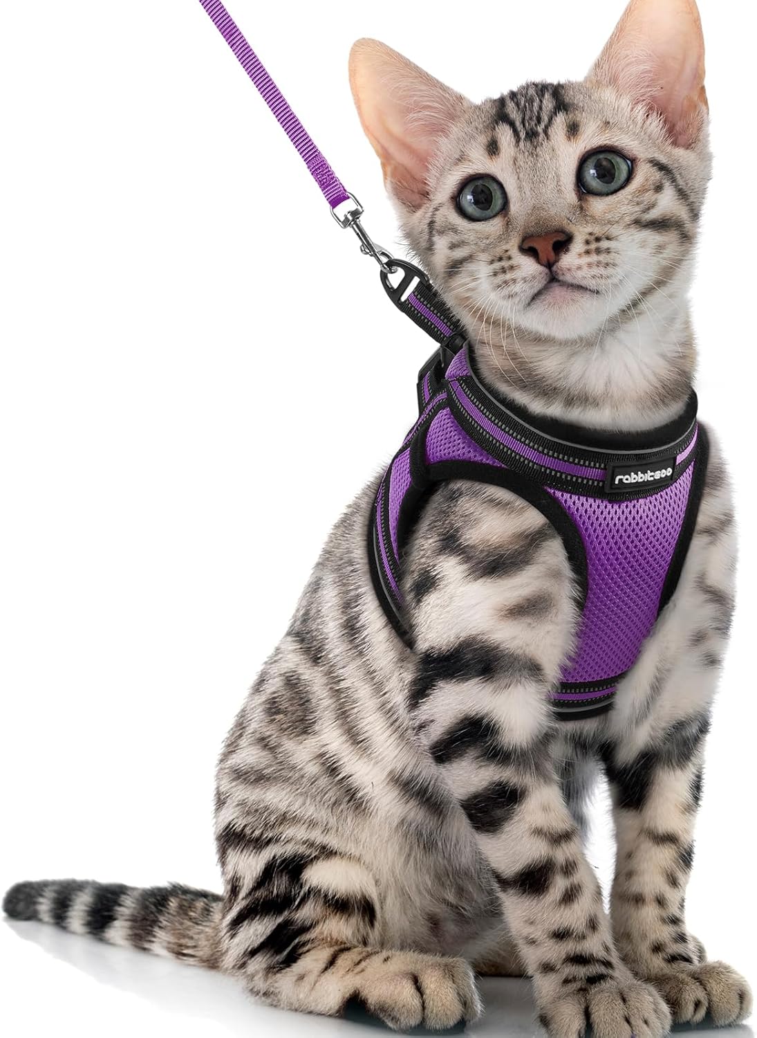 Cat Harness and Leash Set for Walking Escape Proof, Adjustable Soft Kittens Vest with Reflective Strip for Cats, Comfortable Outdoor Vest, Blue, S