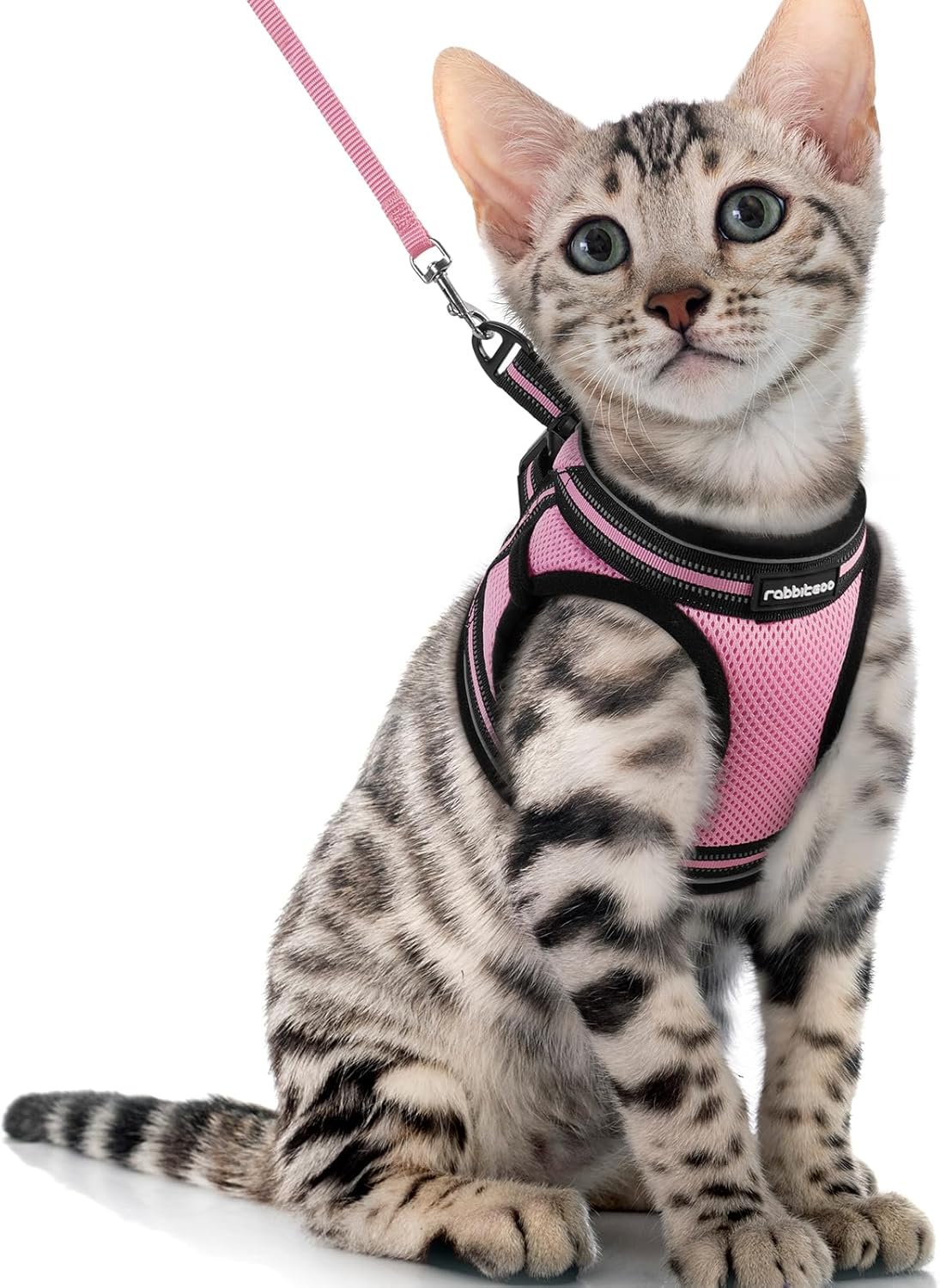 Cat Harness and Leash Set for Walking Escape Proof, Adjustable Soft Kittens Vest with Reflective Strip for Cats, Comfortable Outdoor Vest, Blue, S