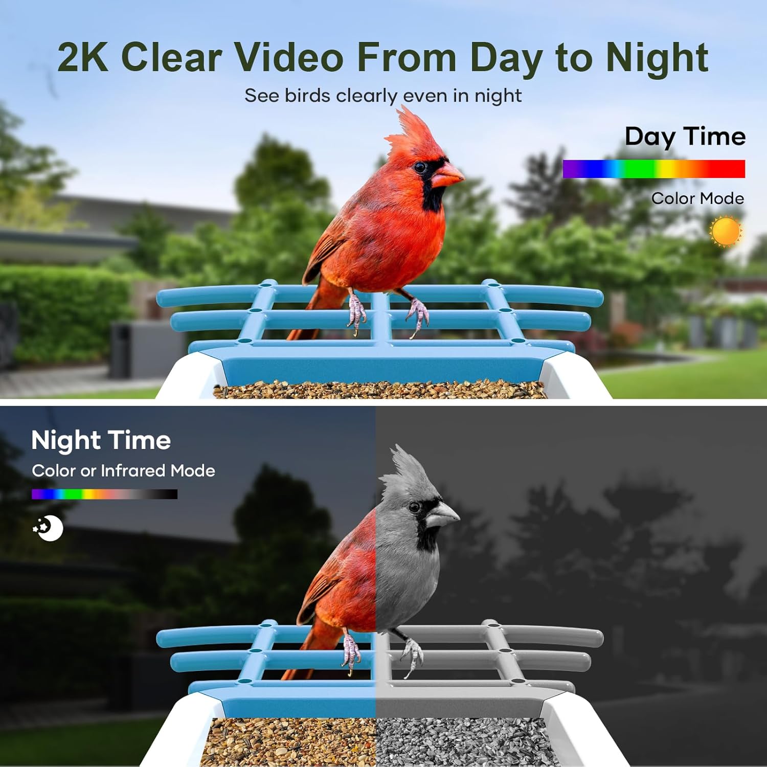 Smart Bird Feeder with Camera: Solar Powered Birdhouse with AI Recognition, Wireless Bird House with Camera for Outdoor, Unique Birthday Gifts for Mom Dad - Blue