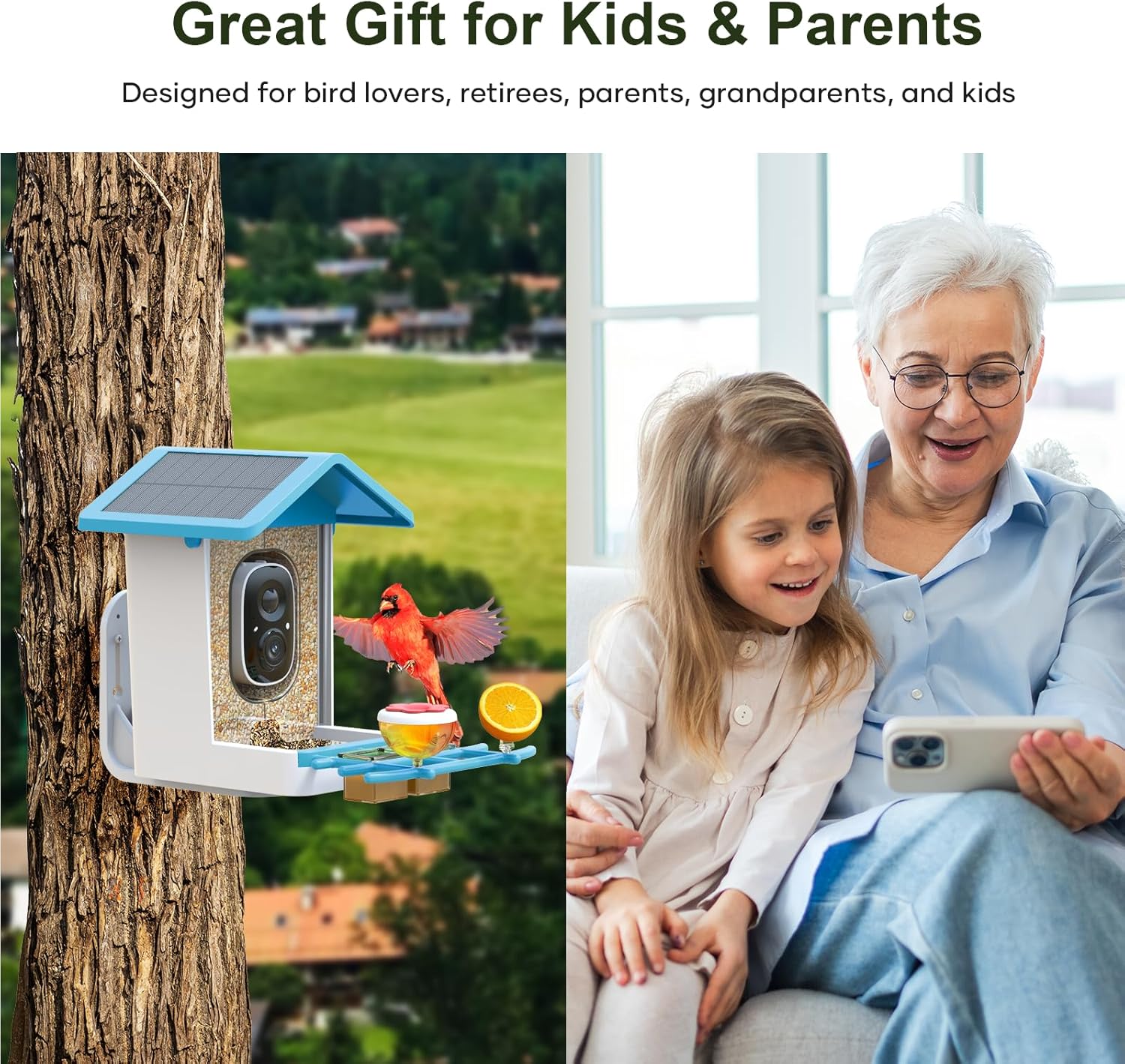 Smart Bird Feeder with Camera: Solar Powered Birdhouse with AI Recognition, Wireless Bird House with Camera for Outdoor, Unique Birthday Gifts for Mom Dad - Blue