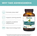 Organic Ashwagandha and Shilajit Extract, Supplements for Stress Relief & Energy Support, 60 Count (Pack of 2)