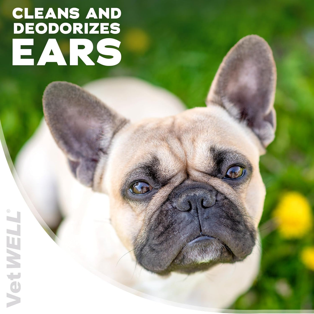 Ear Cleaner for Dogs and Cats - Otic Rinse for Infections and Controlling Ear Infections and Odor in Pets - 8 Oz (Cucumber Melon)