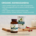 Organic Ashwagandha and Shilajit Extract, Supplements for Stress Relief & Energy Support, 60 Count (Pack of 2)