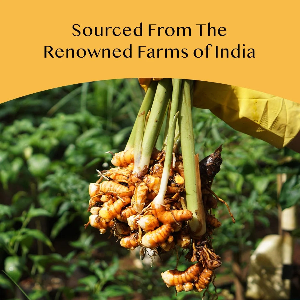 , Organic Turmeric Tea Variety Pack, 20 Count, Assorted Herbal Tea Sampler