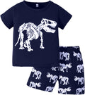 2023 Toddler Kids Boys Summer Short Sleeve Dinosaur T Shirts Tops Shorts Outfits Clothes Set 2 to 7 (1-White, 4 Years)