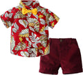 Toddler Clothes Set Children'S Clothing Summer Boys Suit Short Sleeve Floral Shirt Shorts Suit for 1 to (Red, 5-6 Years)