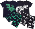 2023 Toddler Kids Boys Summer Short Sleeve Dinosaur T Shirts Tops Shorts Outfits Clothes Set 2 to 7 (1-Green, 3 Years)