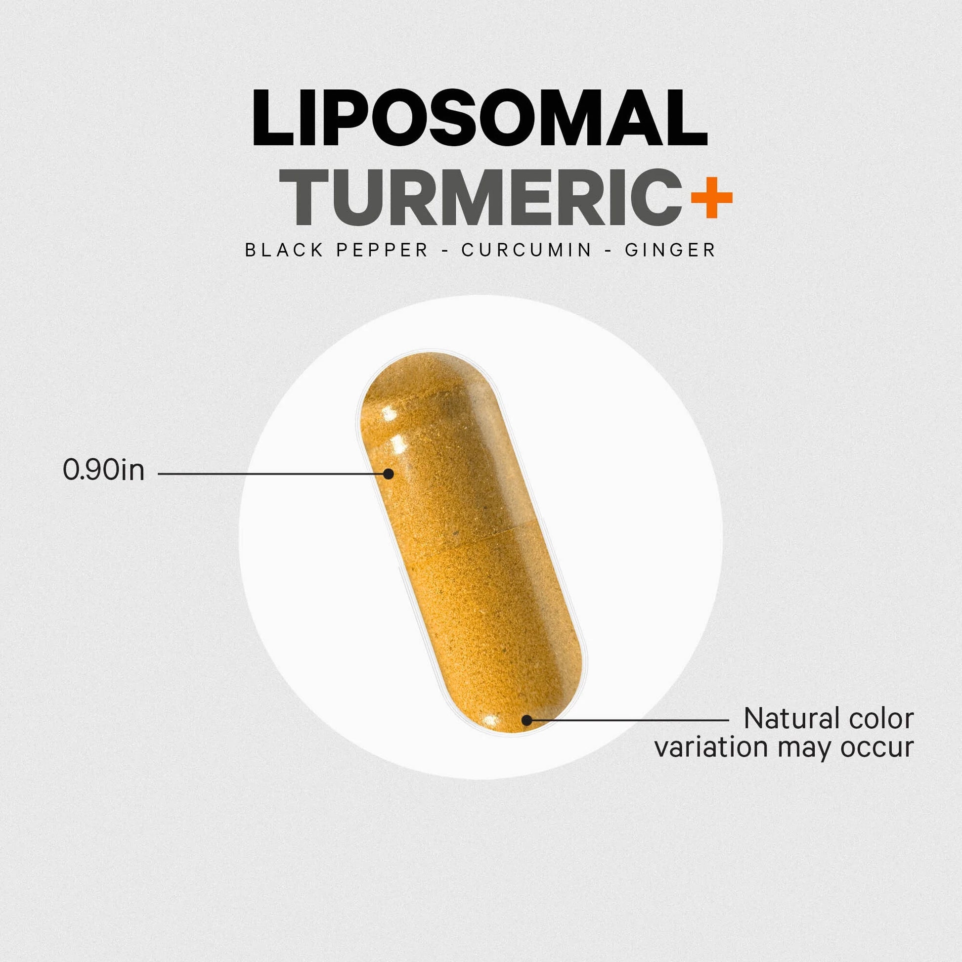 Fermented Turmeric, Organic Turmeric 95% Curcuminoids, Fermented Botanicals Digestive Bitters, 90 Ct