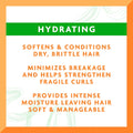 Avocado Hydrating Leave-In Conditioning Cream, 12 Oz (Pack of 2)