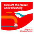 2 in 1 Toothpaste and Whitening Mouthwash, Mint, 4.6 Oz Squeeze Bottle