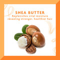 Shea Butter Hair Dressing Pomade 4 Oz